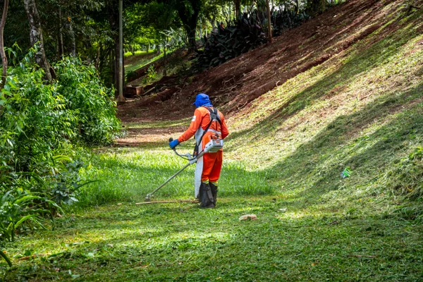 Limpieza de fincas en Mutilva