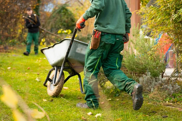 Mantenimiento de jardines en Mutilva